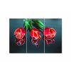 Vcedln obraz - Ti tulipny 120x80  cm