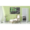 Vcedln obraz - Zelen orchidej a motli 120x80  cm